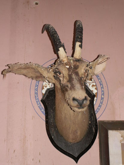 Ein "tolles" Foto von der Inneneinrichtung!!!