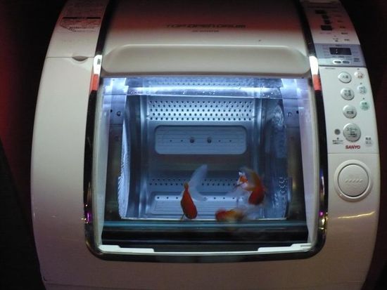 ja, das ist eine Waschmaschine