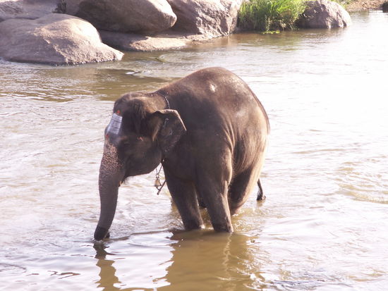 Jeden Tag "Waschtag"...
