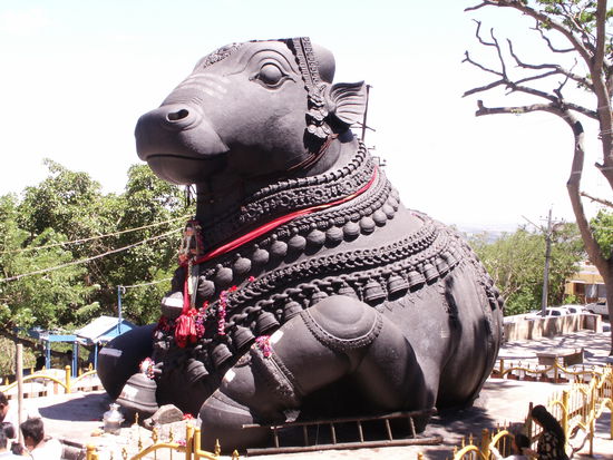 Nandi