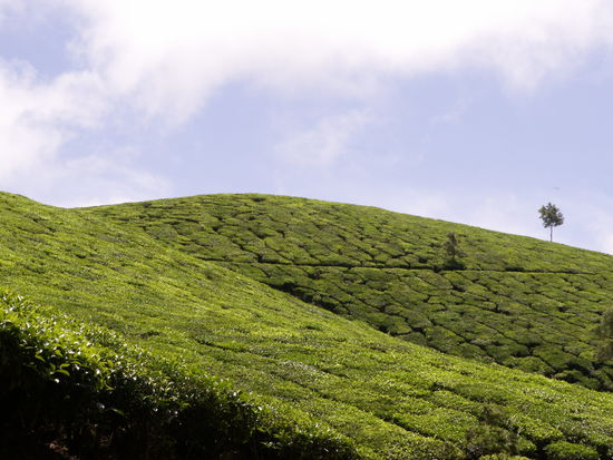 Es gibt ihn doch.. den blauen Himmel!