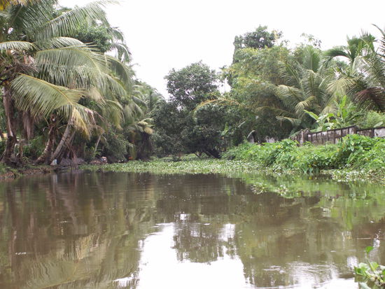 Und nochmal die Backwaters