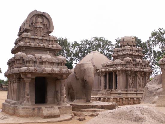 Der schoenste Elefant inmitten der Five Rahtas