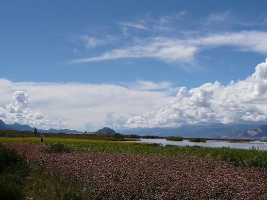 ... das ist doch mal herrlich! 