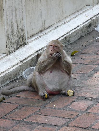 Da geht noch was rein! 