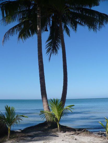 Und jetzt ratet mal wo wir uns nun befinden...???  (...auf Ko Chang!)