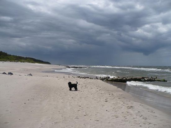 Habt ihr auch das Gefühl das Heiner sich immer ins Bild schleicht? 