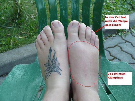 Was man doch alles tolles machen kann. Keine Angst, wir werden jetzt nicht alle Bilder mit Sprechblasen versehen 