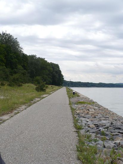 Der nördliche Donauradweg kurz vor Wien