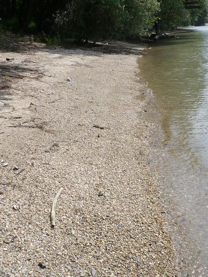 Das Donauufer auf der slowakischen Seite