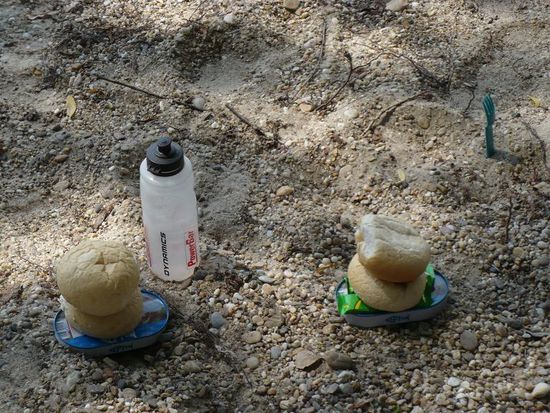 Hhhmmm, lecker Mittagessen! 