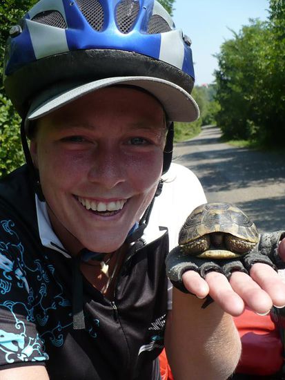 Eine echt wilde Schildkröte