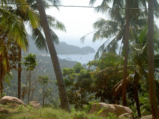 Blick ueber Ko Tao