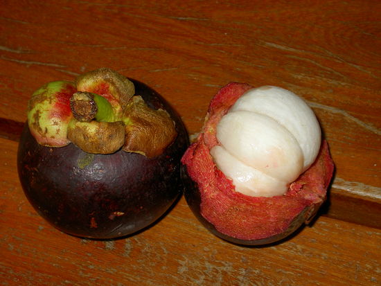 Das ist die Magotee über die ich im Ko Tao Bericht geschrieben hatte. Das weisse Innenleben kann man essen. EXTREM lecker!