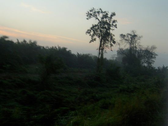 Süd-Thailand im Morgengrauen aus dem Zug!