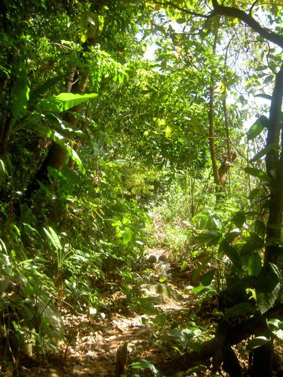 Wenn man von unserem Strand (Coral Bay) nach gegenüber zum Long Beach läuft sieht das so aus