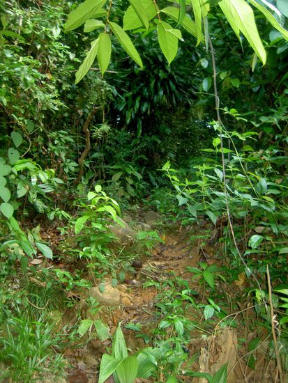 Die Definition von Weg wird hier nicht so eng gesehen...