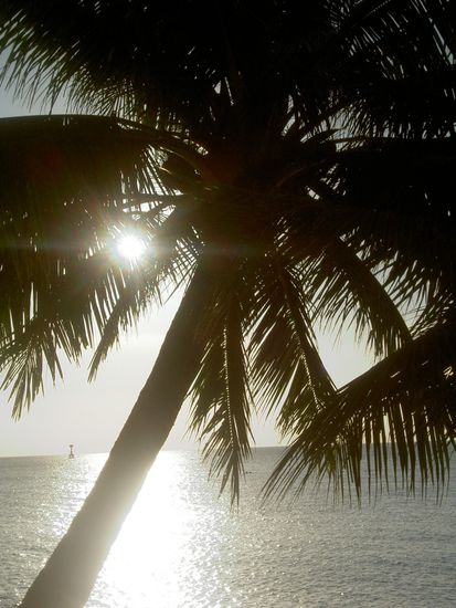 kurz vor dem Sonnenuntergang