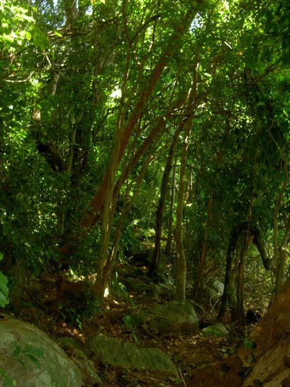 gar nicht so einfach, den richtigen Weg zu finden