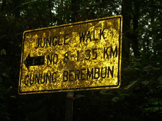 Ja wie gesagt, die Wartung der Wege und Schilder (die noch vorhanden sind) steht noch bevor