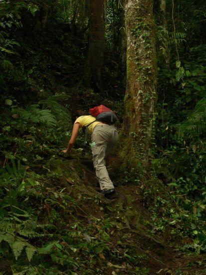 ...hier musste man dann schon zur Gemse werden