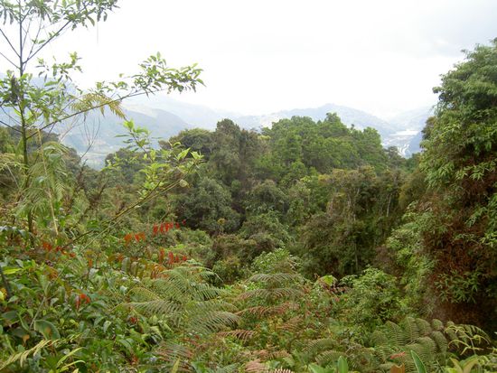 Dat war der Ausblick auf halben Weg...