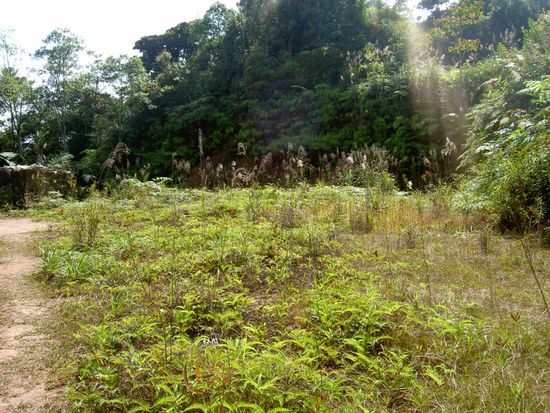 Neuer Tag - neue Trekkingroute.