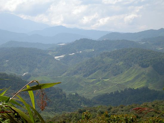 Nach knapp 2-stündigem Aufstieg wurden wir mit dieser Aussicht belohnt.