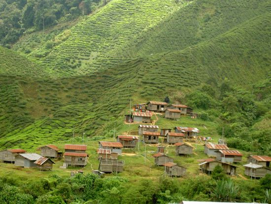Der Abstieg war ein wenig gewöhnungsbedürftig. Kein Weg - aber als wir dieses Dörfchen von weitem sahen, war alles wieder gut