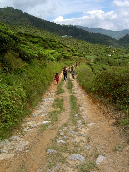 Ja, ja, auch malaysische Kinder müssen zur Schule