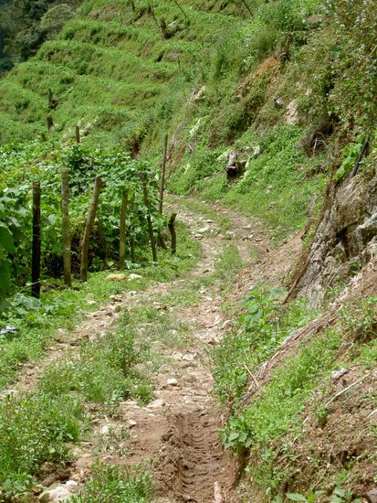 So ein Weg wie hier war sehr selten anzufinden