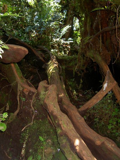 Genau, hier rauf sind wir geklettert. 5 min später sah es genauso aus aber mit Matsch und Schlamm