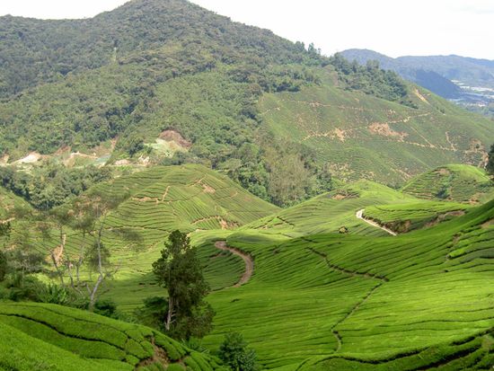 Es folgte ein langer aber gemütlicher Abstieg