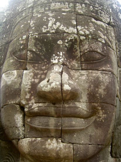 4 mal so gross wie wir, da kann man schon Angst bekommen
