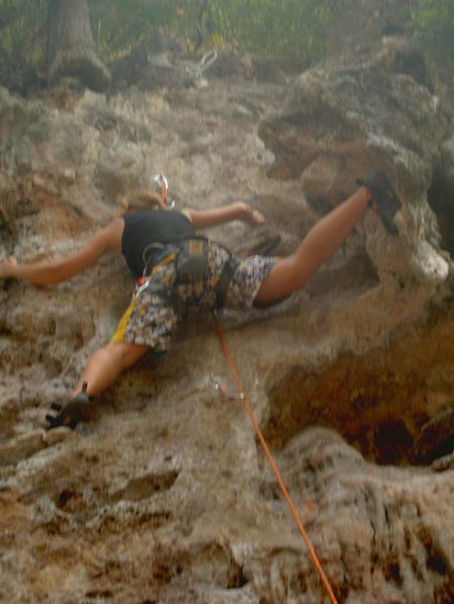 ... und fast ganz oben