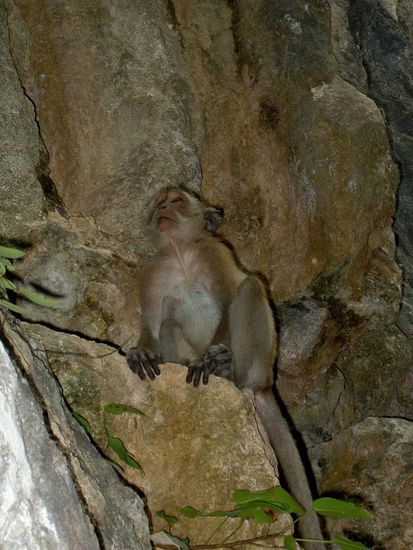 Tatjana hat ja eine Vorliebe für Tierfotographie... also ohne Worte 