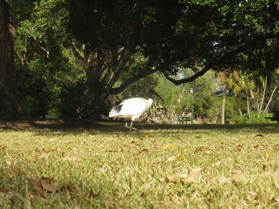 ... in lustig aussehender Gesellschaft