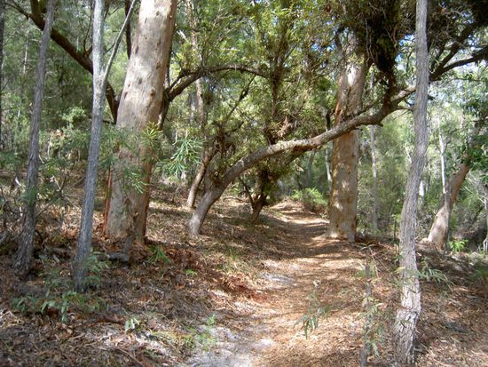 und zur Abwechslung mal wieder wandern auf einer Insel