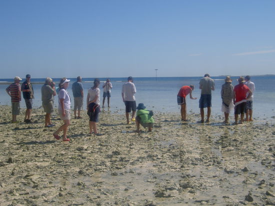 Oben erwähnte Menschen, die wohl ein Hörgerät benötigen!