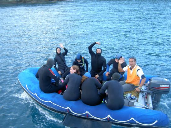 das Boot schipperte uns jeweils zum Tauch/ Schnorchel Spot