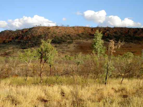 ... so kann Ouback auch aussehen...