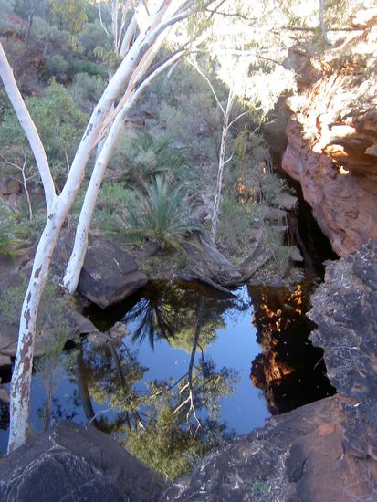 und so sahs am Boden des Canyon aus