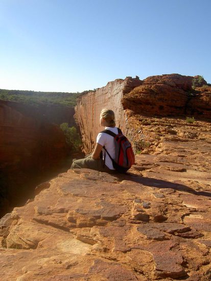 Ein Ausblick zum Eier legen