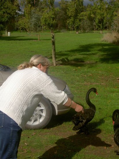 bei einem Spaziergang trafen wir diese Frau, die jeden Tag dort fuer ihr Medizinstudium lernt...