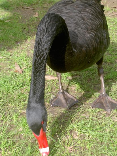 ... und diese possierlichen Tierchen fuettert