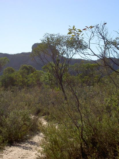 der Mt. Stapylton von unten