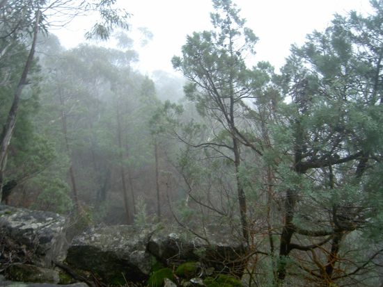Richtung Tal lichtete sich der Nebel