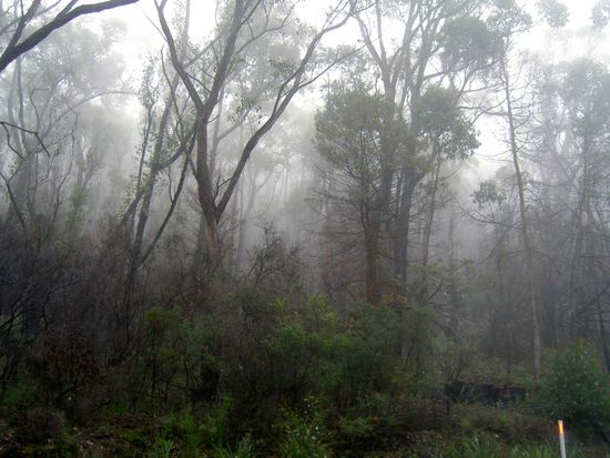 Das TOLLE Wetter bei der Abfahrt aus den Grampians