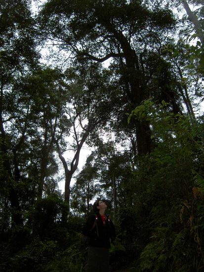 ist Tatjana wirklich so klein?