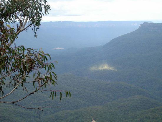 Wie aus dem Bilderbuch - leicht blaeulicher Dunst liegt ueber den Blue Mountains
